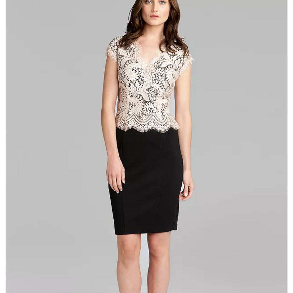 Ted Baker Sarvani Lace Sheath Dress Womens Medium Business Classic Professional